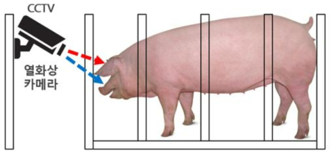 CCTV 및 열화상 카메라를 이용한 행동 미 온도 분석 모식도