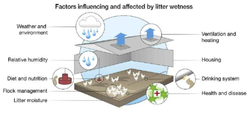 바닥재 수분함량 변화에 미치는 요인(Dunlop et al., 2016)