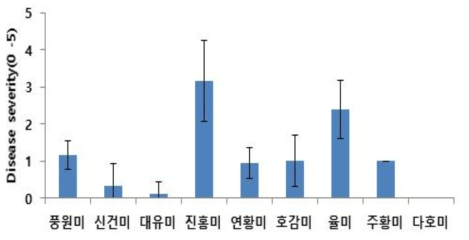 9품종 대상 잎줄기 접종을 이용한 검은무늬병 저항성 검정 결과