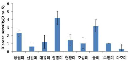 9품종 대상 잎줄기 접종을 이용한 검은무늬병 저항성 검정 결과