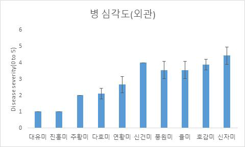 괴근 상처법을 통해 병 접종 후 고구마 접종 부위 표면에 나타난 병반의 심각도의 측정 결과