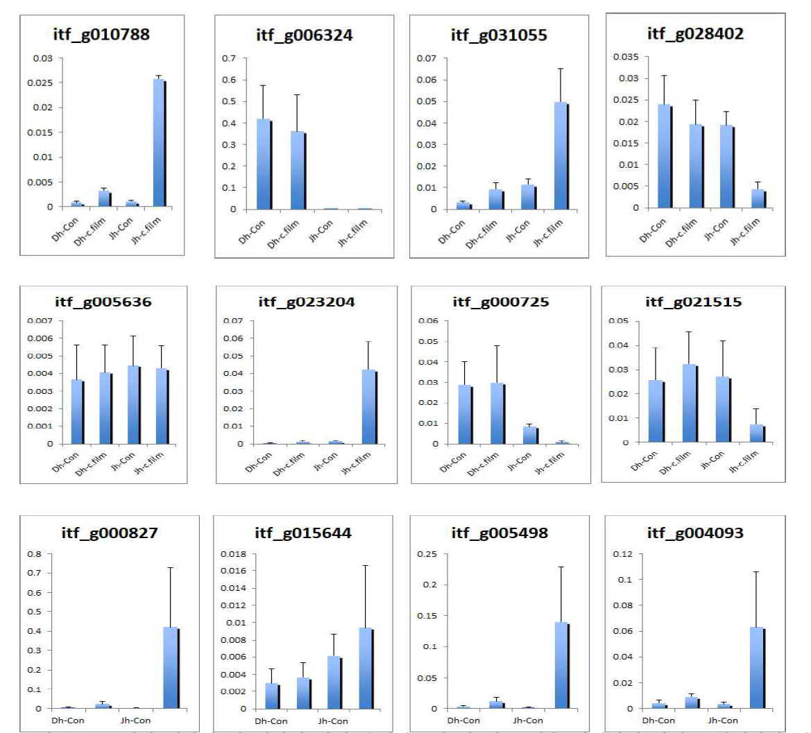 표6에서 선발된 병 저항성 관련 유전자들의 병 접종 전후 발현양의 차이를 확인하기 위해 수행된 qRT-PCR 결과