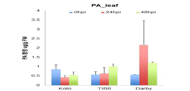 전신유도저항성 발현을 확인하기 위한 저항성, 중간저항성 및 감수성 품종별 검은무늬병 접종 후 병 접종 부위와 떨어진 부위의 샘플에서 48시간까지의 PA 발현 함량 차이 분석