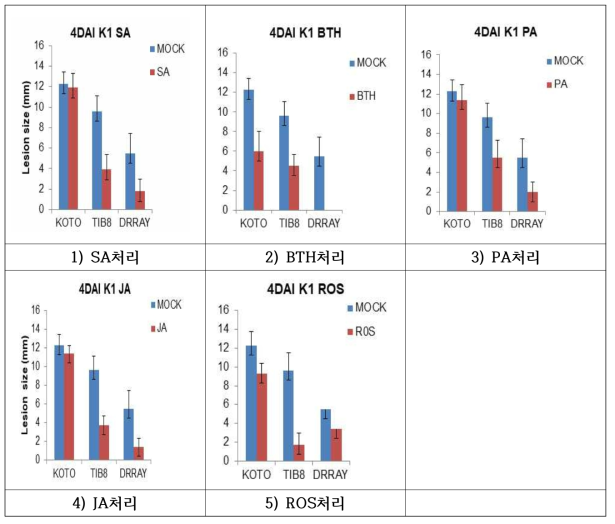 병 저항성 유도 물질 처리 후 병반 크기 비교. 병원성이 약한 K1 Strain 사용(미국 균주와 동일). 접종 후 4일 후 병징 발생 정도 비교