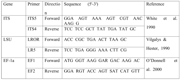 검은무늬병 분자 동정을 위한 유전자와 Primer 정보