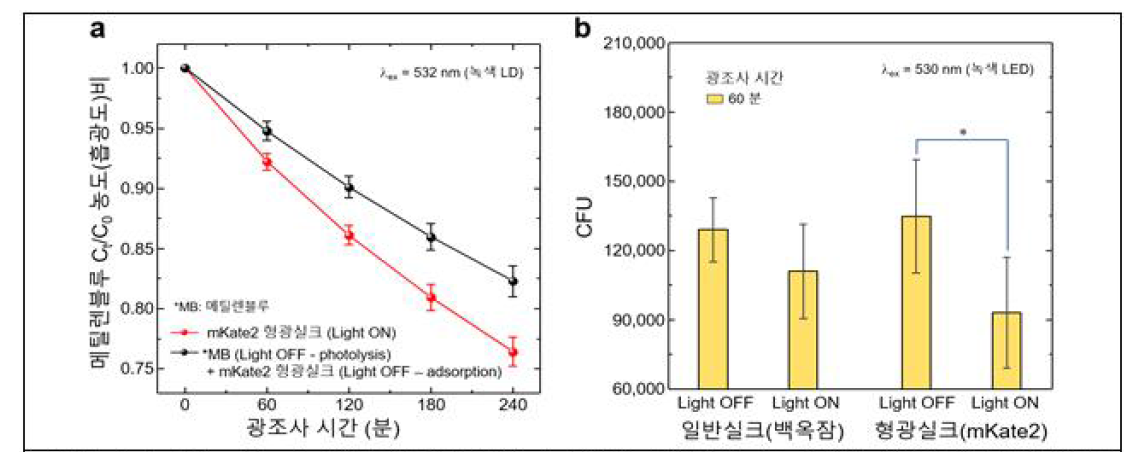 (a)mkate2 적색형광실크로부터 생성된 활성산소의 유기물 분해 테스트(메틸렌 블루 광분성)및 (b)대장균(E.Coli)활성억제효과 테스트