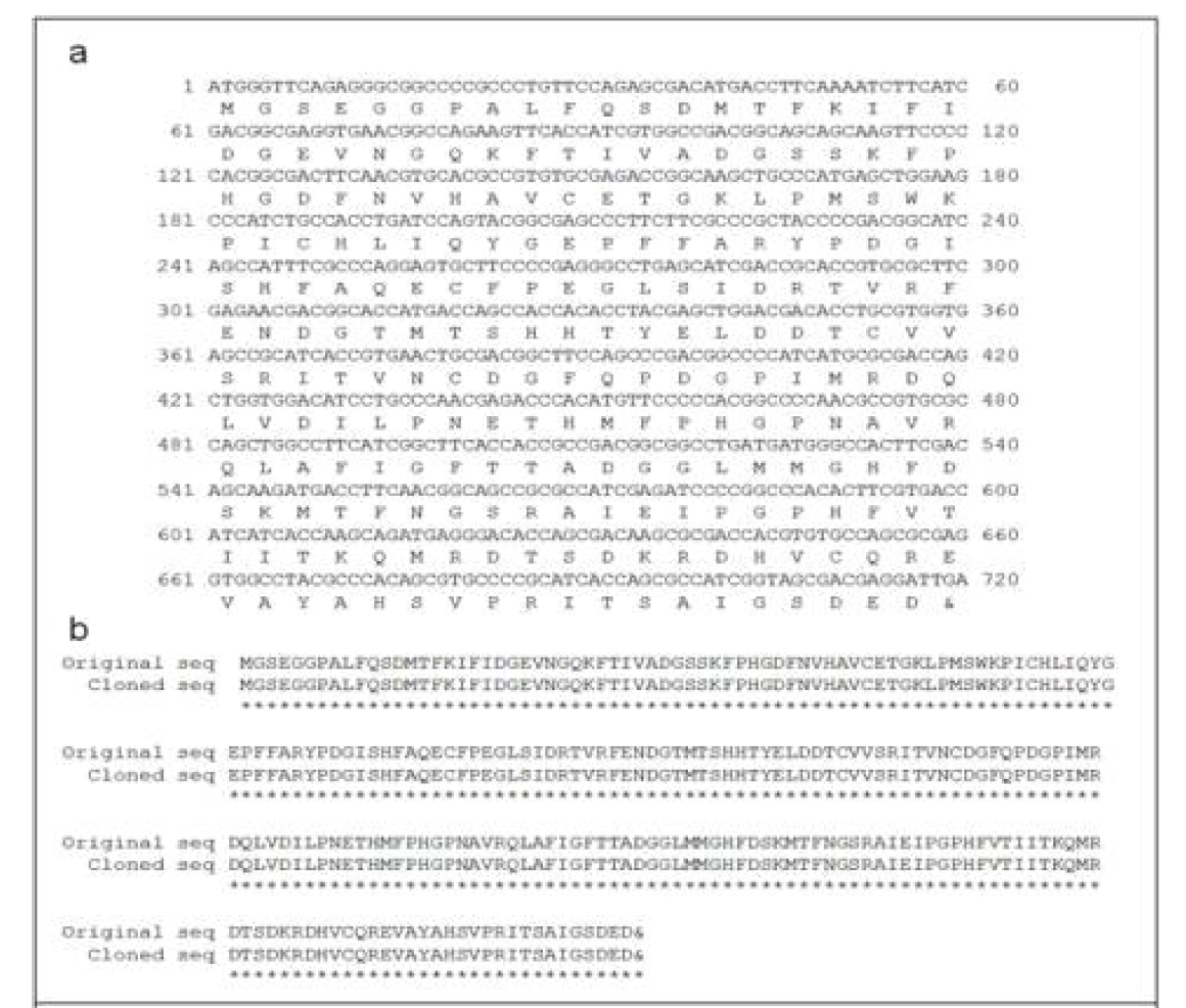 p3xP3EGFPoFibHKillerRed 벡터의(a)삽입부위 서열 검증 및(b)아미노산 서열 비교분석