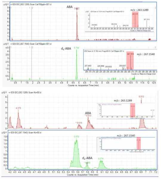 표준물질과 시료(50mg)에서 ABA와 d4-ABA m/z값 검증