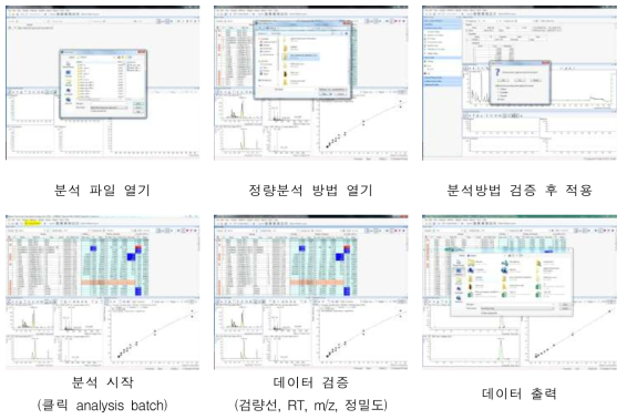 표준물질의 검량선 작성 및 정량분석 매뉴얼