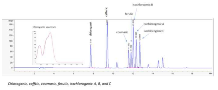 페놀화합물의 표준물질의 크로마토그램, chlorogenic acid의 표준물질과 샘플의 spectrum 일치