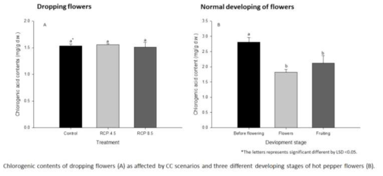 기후변화 시나리오에 따른 낙화 표본의 페놀 대사체 함량(A)과 정상적인 고추 꽃의 발달 단계별 페놀대사체 함량 변이(B)