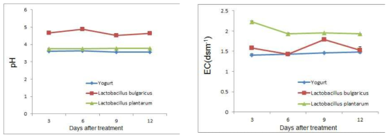 발효 기간에 따른 유채박의 pH 및 EC 변화