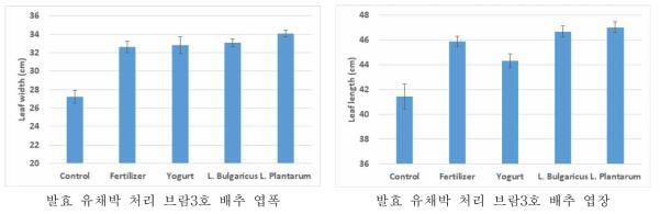발효 유채박 처리 브람3호 배추의 엽폭 및 엽장 비교