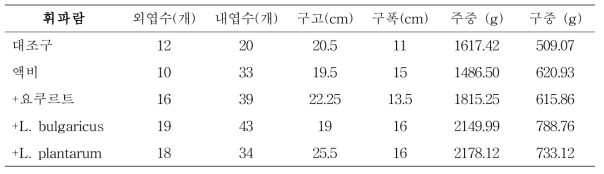 발효 유채박 처리 휘파람 배추 생육 조사(이식 후 60일경)