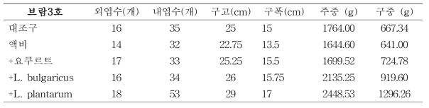 발효 유채박 처리 브람3호 배추 생육 조사(이식 후 60일경)