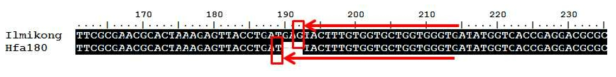 고 stearic acid 합성관련 후보 유전자 탐색을 위한 allele-specific KASP primer