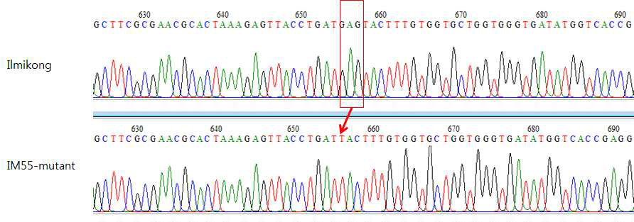 SACPD-C 유전자 염기서열 sequence chromatogram