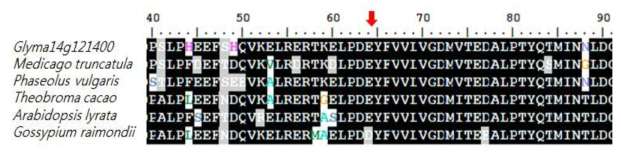 여러 종의 SACPD peptide sequences간의 multiple alignment