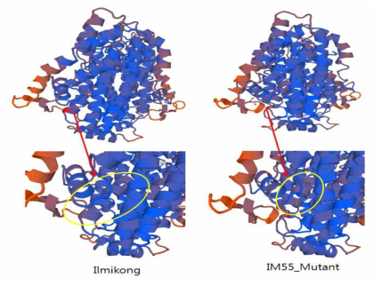 SACPD-C protein의 3D 구조 비교