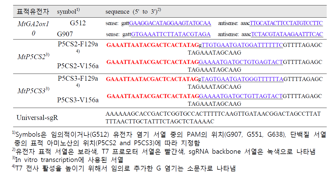 T7 RNA polymerase를 이용한 sgRNA 전사 합성에 이용한 올리고
