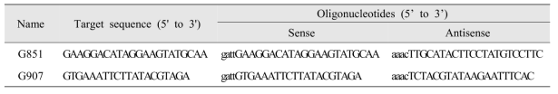 MtGA2ox10 표적 gRNA 서열
