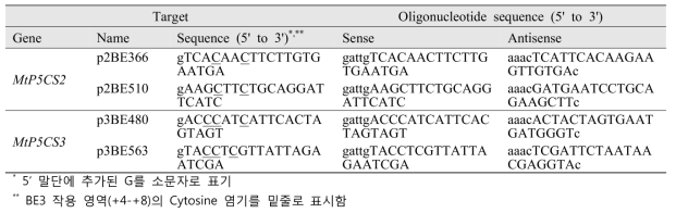 MtP5CS2, 3의 단일염기 편집을 위한 gRNA 서열