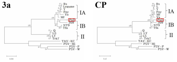 CMV-Pa3의 이동단백질(3a)유전자와 CP유전자를 이용한 계통도 분석