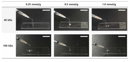 실크 피브로인 분자량과 메타크릴레이트 치환도에 따른 injectability 시험 결과. (scale bar = 20 mm)