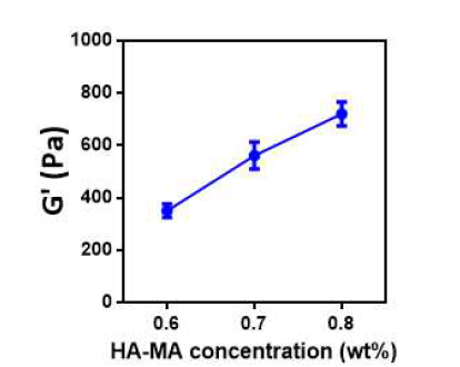 HA-MA 하이드로젤의 히알루론산 농도에 따른 전단저장탄성율 변화