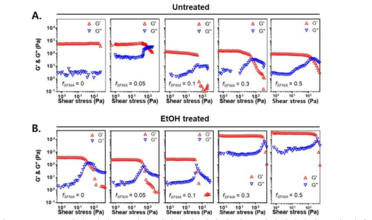 SF/HA 복합 하이드로젤의 전단응력 변화에 따른 전단저장탄성률 및 전단 손실탄성률 변화. (A) 에탄올 무처리 조건. (B) 에탄올 처리 조건. fSFMA = 전구용액내 SF-MA 용액의 부피비