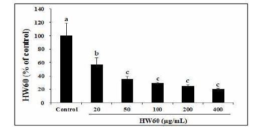 Lipid accumulation during the differentiation of 3T3-L1 preadipocytes in 60℃ water extract of blue honeysuckle