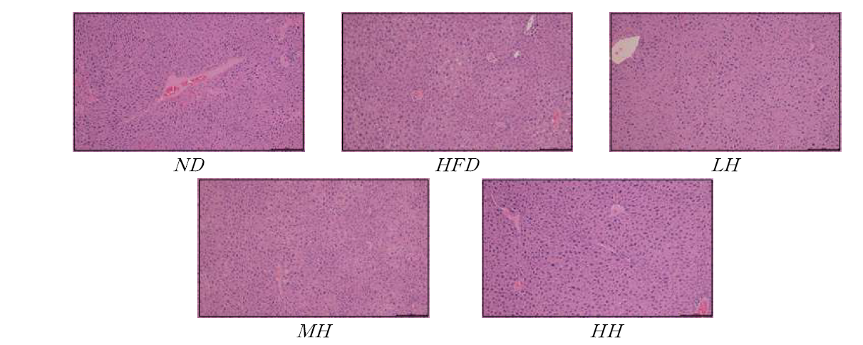 H&E staining of liver tissue of mice fed experimental diets for 12 weeks (100X)
