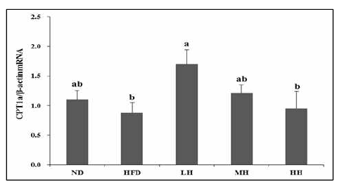 Hepatic mRNA expression of CPT-1a in mice fed experimental diets for 12 weeks
