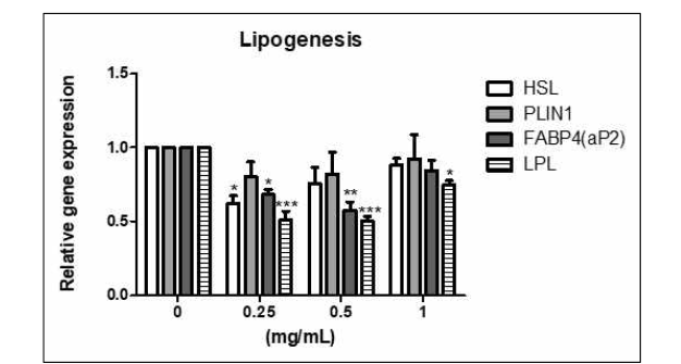 Expression of gene associated with lipogenesis by treatment of bue honeysuckle extract in 3T3-L1 adipocytes