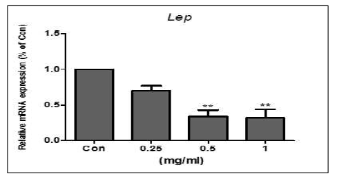 Expression of gene of leptin (Lep) by treatment of bue honeysuckle extract in 3T3-L1 adipocytes