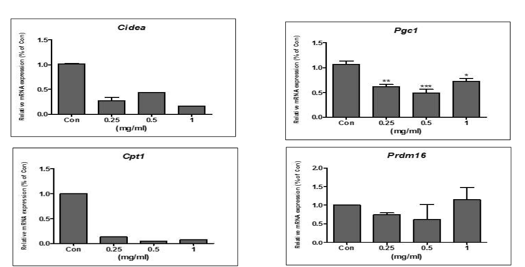 Expression of gene associated with brown adipocytes by treatment of bue honeysuckle extract in 3T3-L1 adipocytes