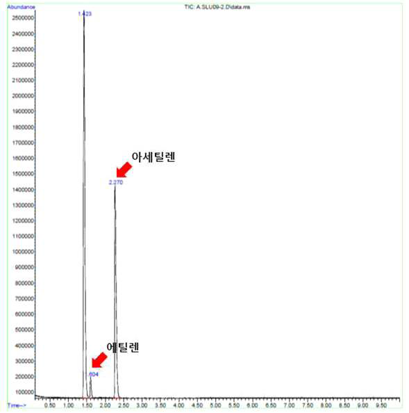 질소고정균에 의해 아세틸렌가스에서 에틸렌으로 환원된 GC-MS 결과