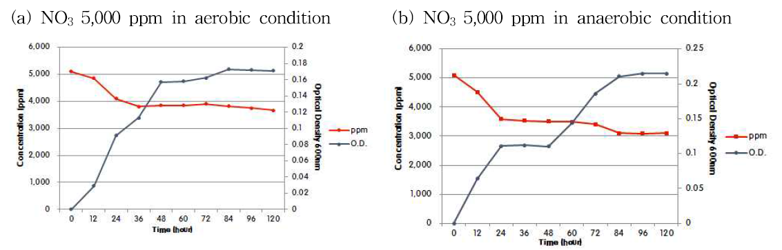 호기조건과 혐기조건 배양에서 Simplicispira sp. NY-02의 5,000ppm 농도에서 질산염 제거율 및 생장율 조사