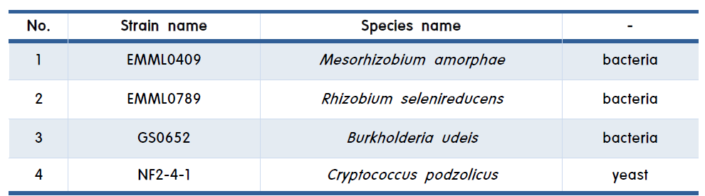 최종 선발된 미생물 제제 제조에 사용할 질소고정균 목록