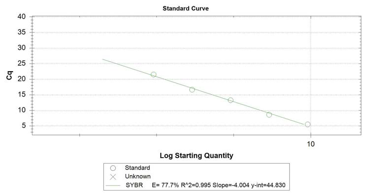 amoA standard를 이용한 RT-PCR 결과 ; 정량 분석을 위한 standard curve