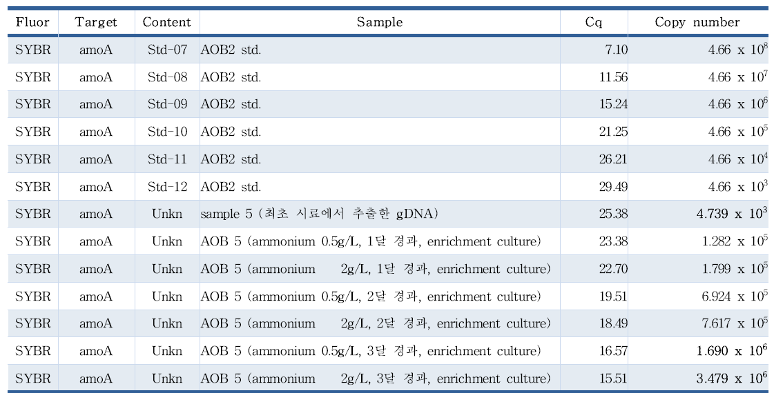 AOB standard & enrichment culture gDNA의 RT-PCR 정량 분석한 결과