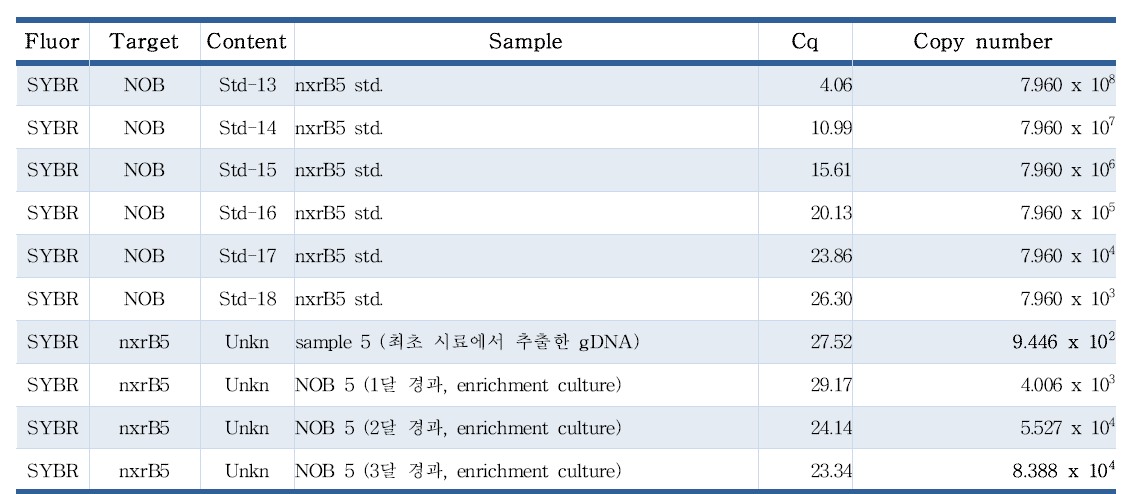 NOB standard & enrichment culture gDNA의 RT-PCR 정량 분석한 결과