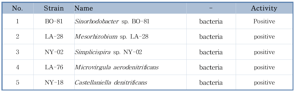 최종 선발된 미생물 제제 제조에 사용할 탈질 활성균 목록
