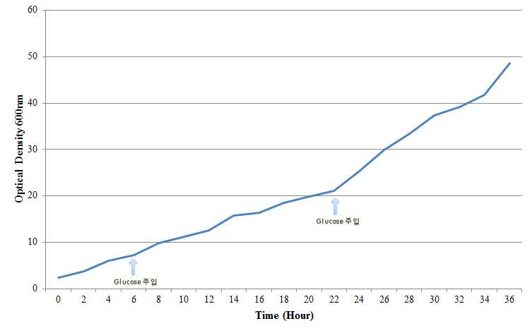 300L fermenter를 이용하여 glucose feeding등 최적조건으로 배양한 탈질 활성균