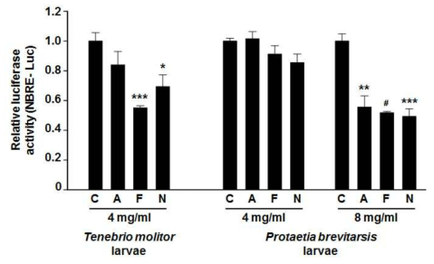 Effects of different protein hydrolysates from Tenebrio molitor larvae or P rotaetia brevitarsis larvae on transcriptional activity of NR4A1. MiaPaCa-2 cells were cotransfected with NBRE-Luc (25 ng) and Flag-NR4A1 (12.5 ng) for 5 h, and treated with indicated concentrations of each protein hydrolysate for 18 h. Luciferase activity(relative β-galactosidase) was determined and the results are presented as means±SE. *P <0.05, **P <0.01, ***P <0.005, and #P <0.001 vs. buffer control. C, buffer control; A,alcalase; F, flavourzyme; N, neutrase