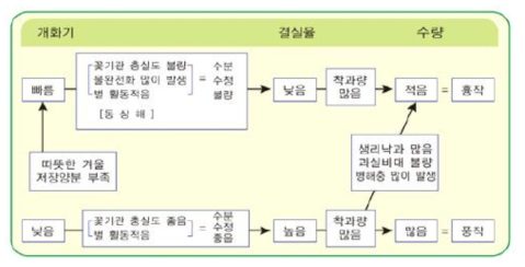 개화기의 빠름 정도와 결실 관계