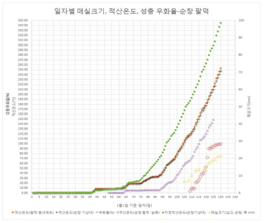 일자별 매실크기, 적산온도 및 성충 우화율_순창 팔덕