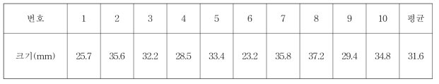 매실 크기 실측 결과