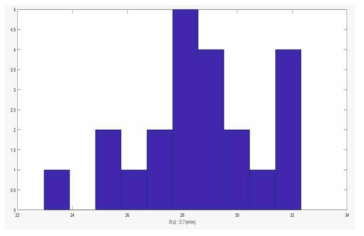 매실 크기 히스토그램