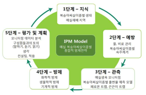 매실 복숭아씨살이좀벌 종합적 방제전략